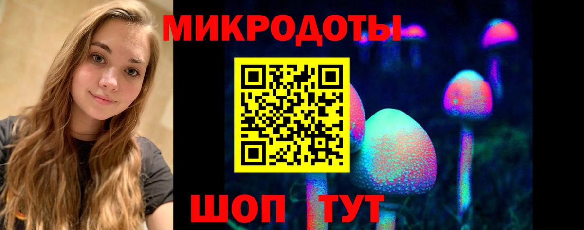 Псилоцибиновые грибы мицелий Реутов